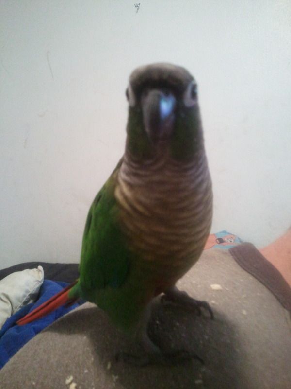 2012-07-25214713.jpg
