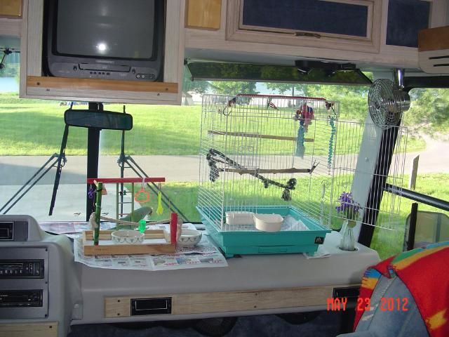 004-6.jpg