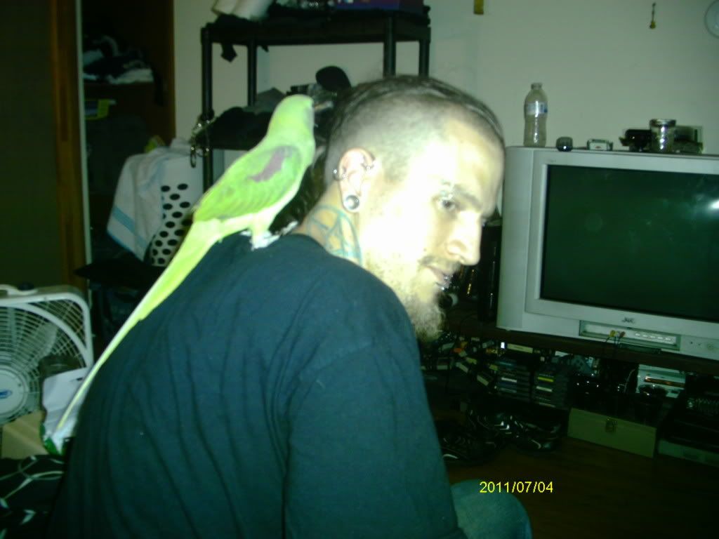IMAG1388.jpg