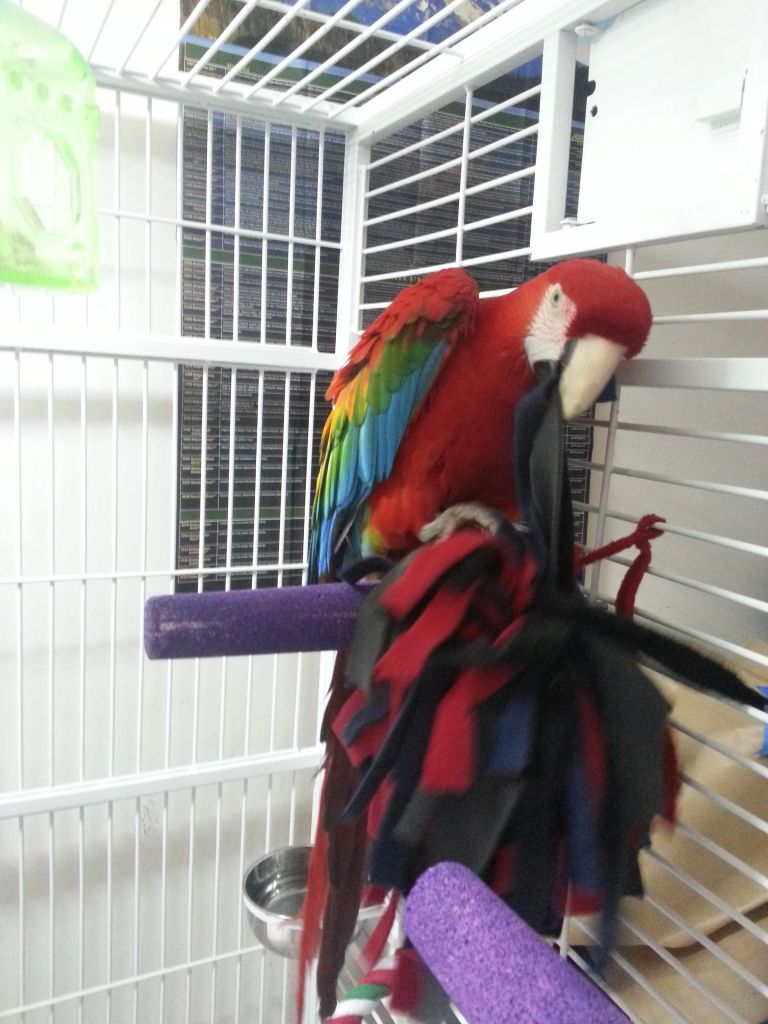 20130212_132515.jpg