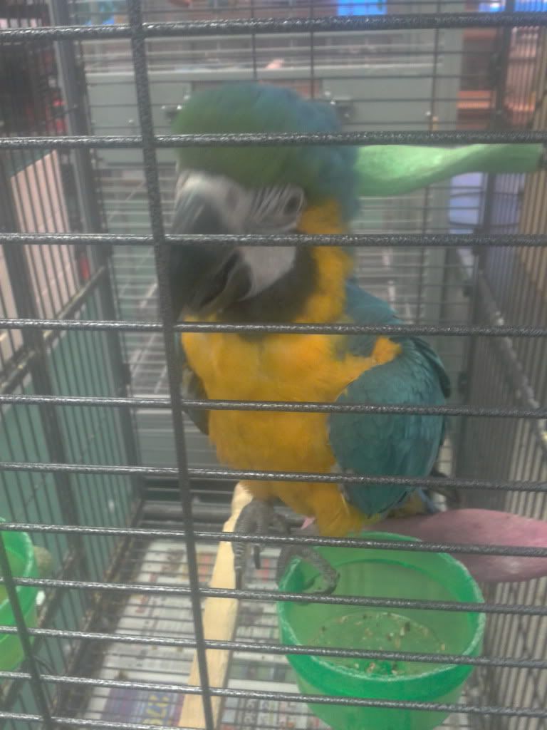2012-03-15162307.jpg