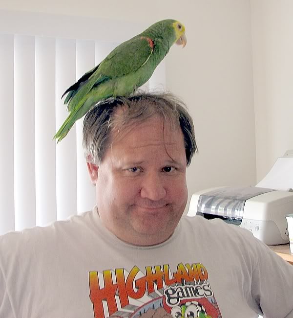 babeonhead01.jpg