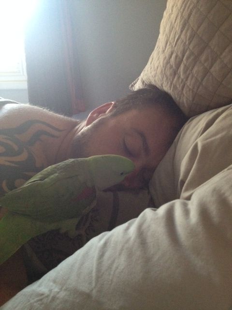 WakeupPapa_zpsdd182f43.jpg