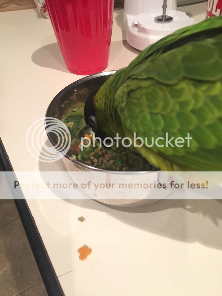 2015-11-05%2019.51.25_zpsb6o2rzqb.jpg