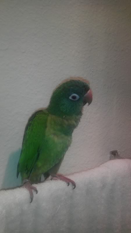 IMAG0040.jpg