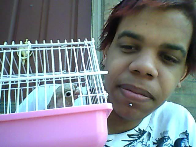 Snapshot_20120415_2.jpg