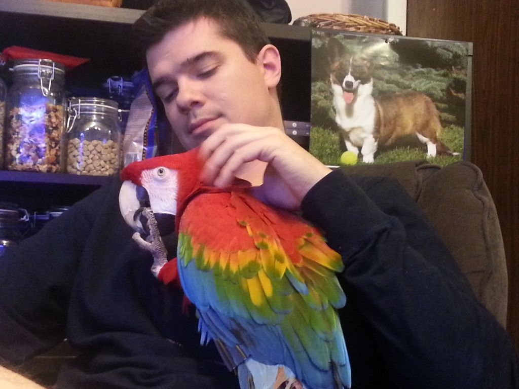 20130212_154558.jpg
