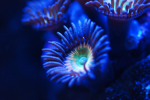 6289000087_06fc263a19.jpg