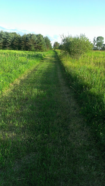 IMAG5880.jpg
