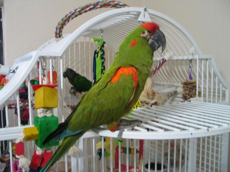 62511hollycochise.jpg