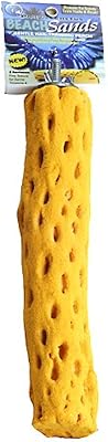 41EPVipSxyL._AC_UX500_SY400_.jpg