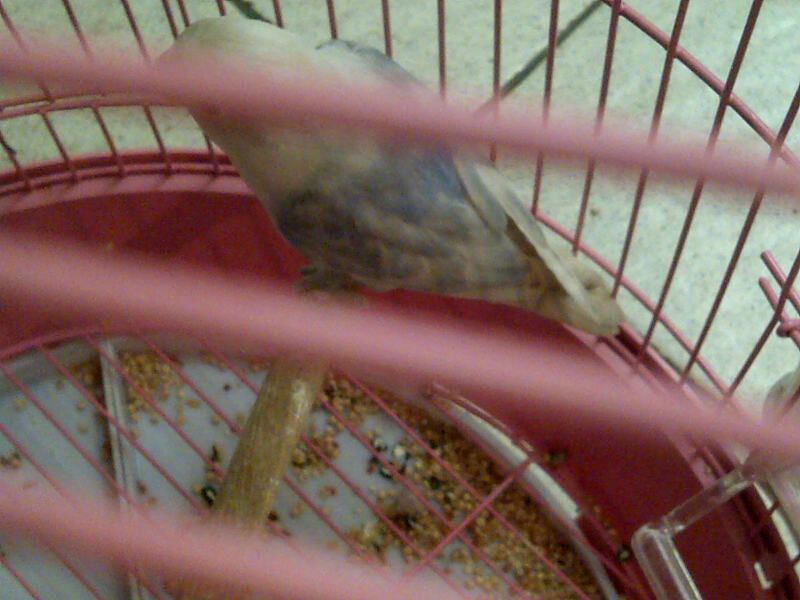 IMG-20130118-00236_zps1cd0a769.jpg