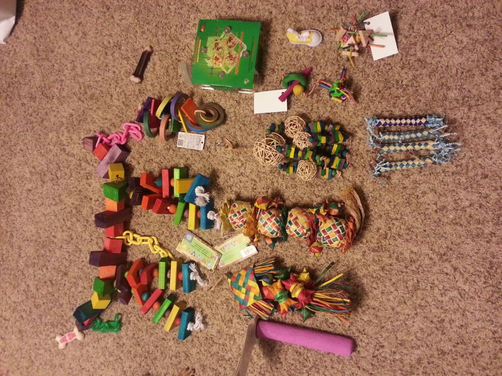20131022_181424_zps48147d12.jpg