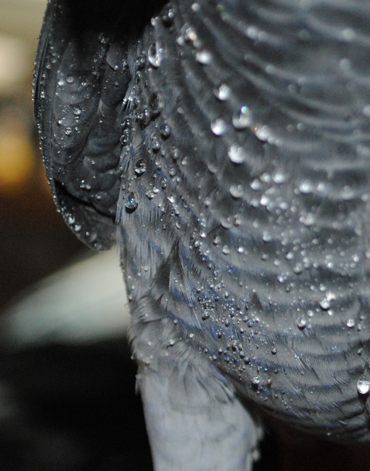 tumblr_mp9pga4lJ81r96qxho3_1280.jpg