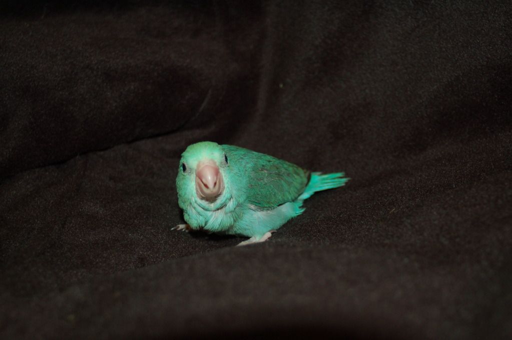 DSC_0016.jpg