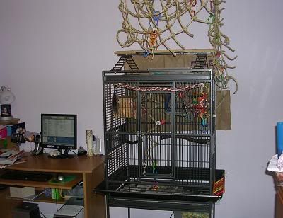 newsetup3.jpg