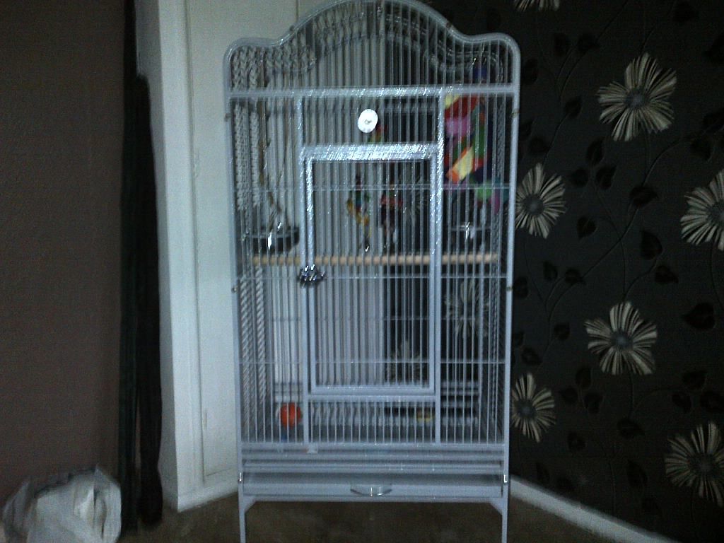 Newcage3.jpg