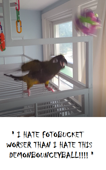 grmPUdn.png