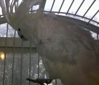 IMG_20111115_081048-1.jpg