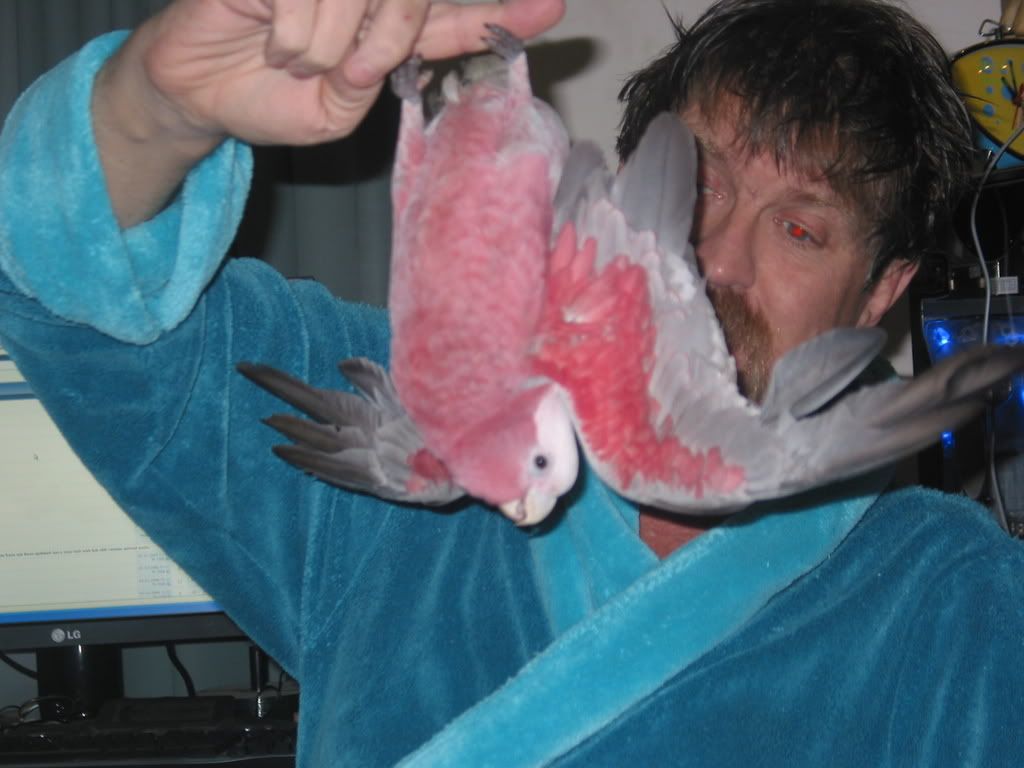 hangeron002.jpg