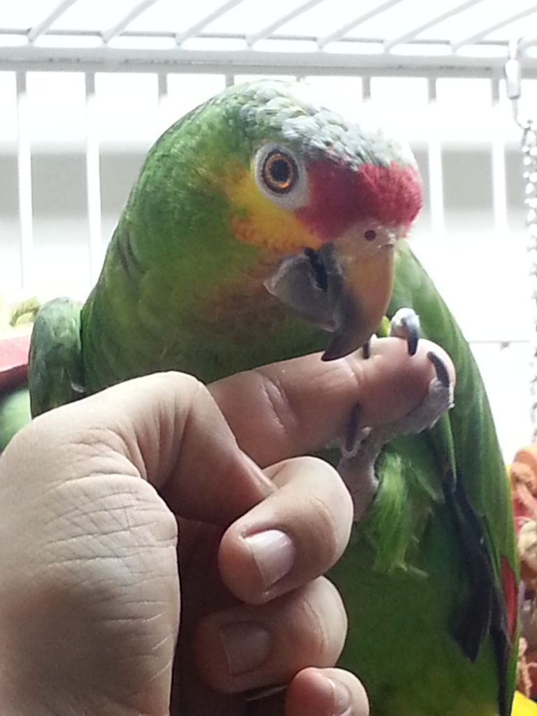 20130212_1706470.jpg