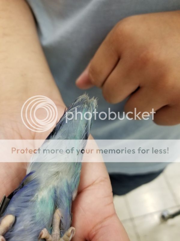 20180620_123158.jpg