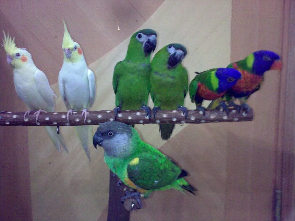 20100917365.jpg