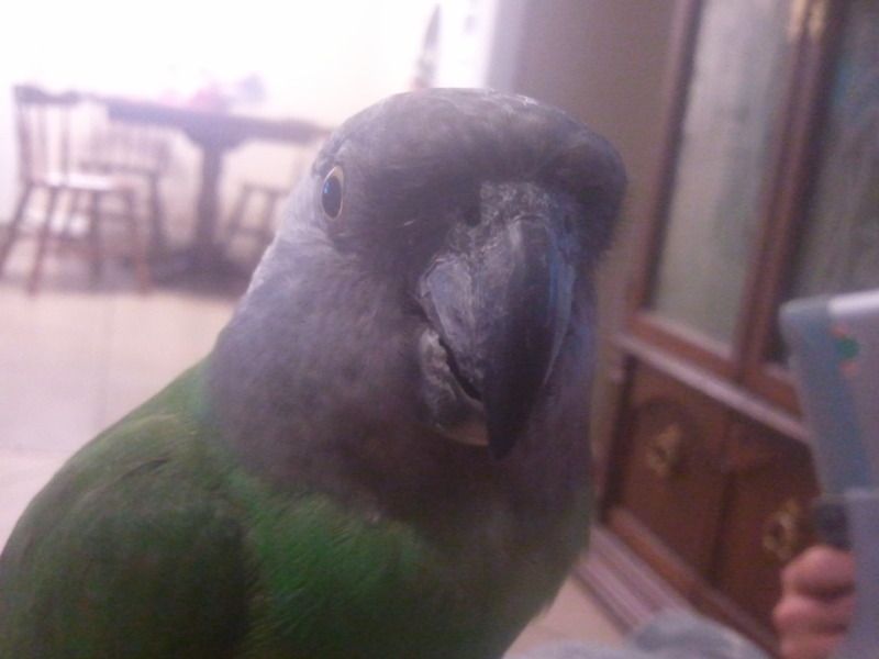 2012-08-15181510.jpg