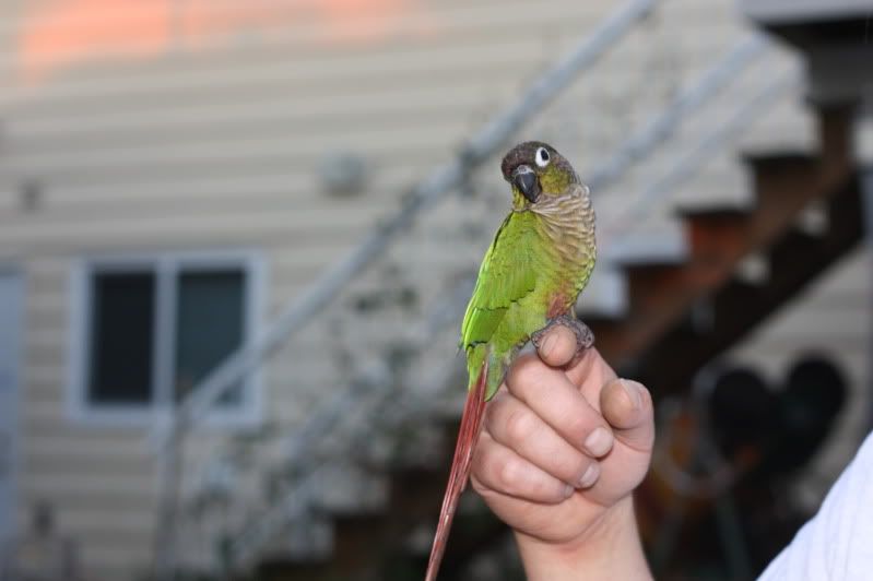 IMG_3286.jpg