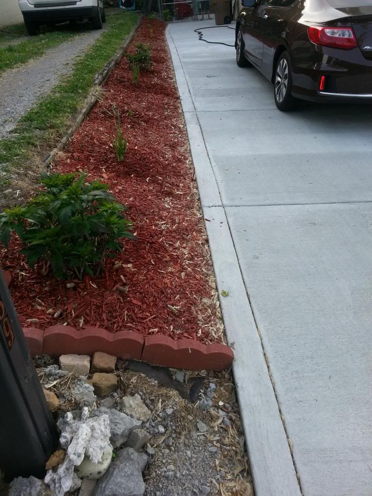 20140512_184457_zpsnfxexnjw.jpg