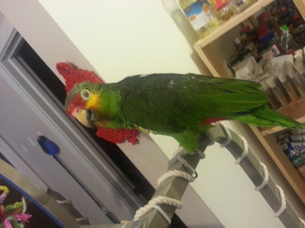 20130110_112625.jpg