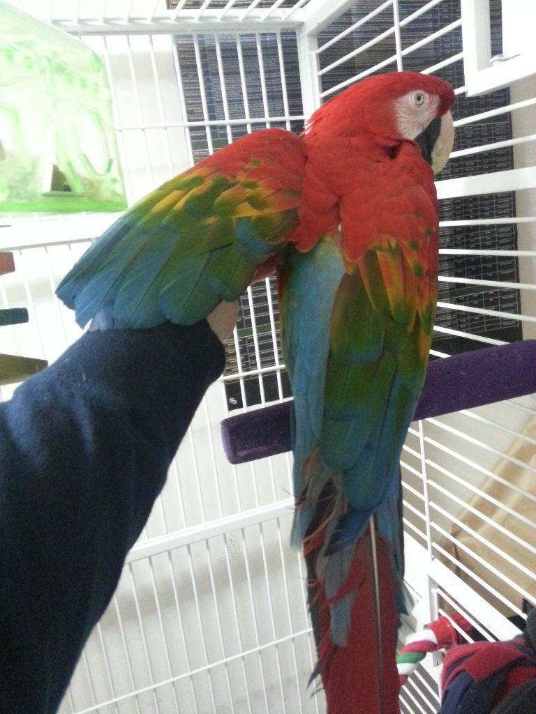 20130212_135103.jpg