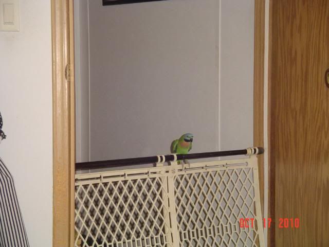 024-1.jpg