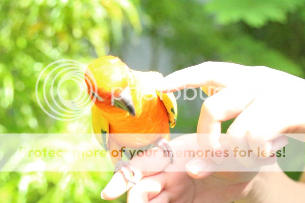 IMG_7514_zpsa7df4d5b.jpg