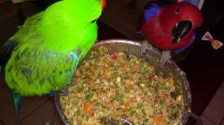 IMAG1005_zps7118b314.jpg