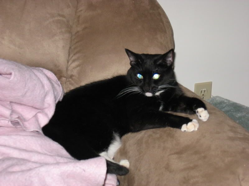 Luna2.jpg