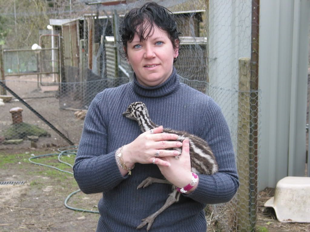 MintonFarm021.jpg