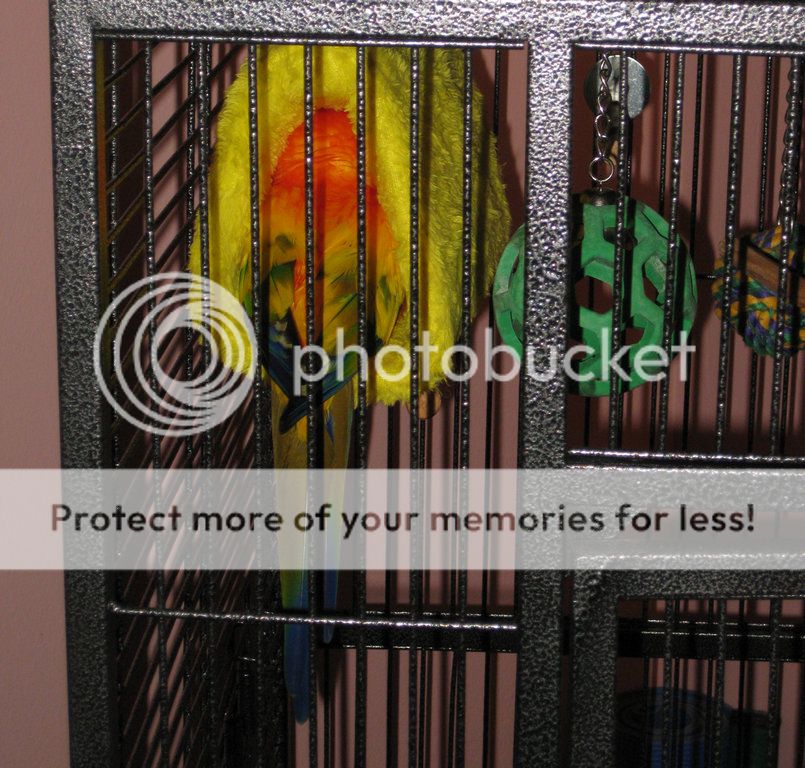 IMG_1626.jpg