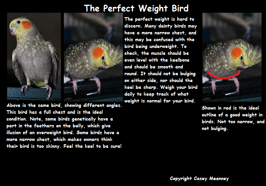 PerfectWeight.png