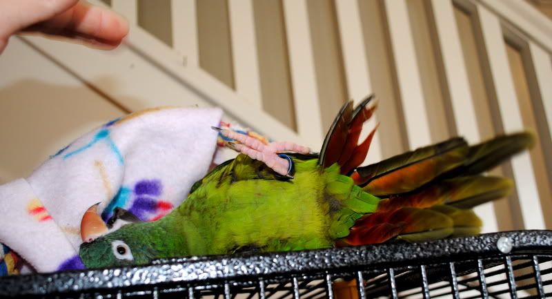 DSC_0082.jpg