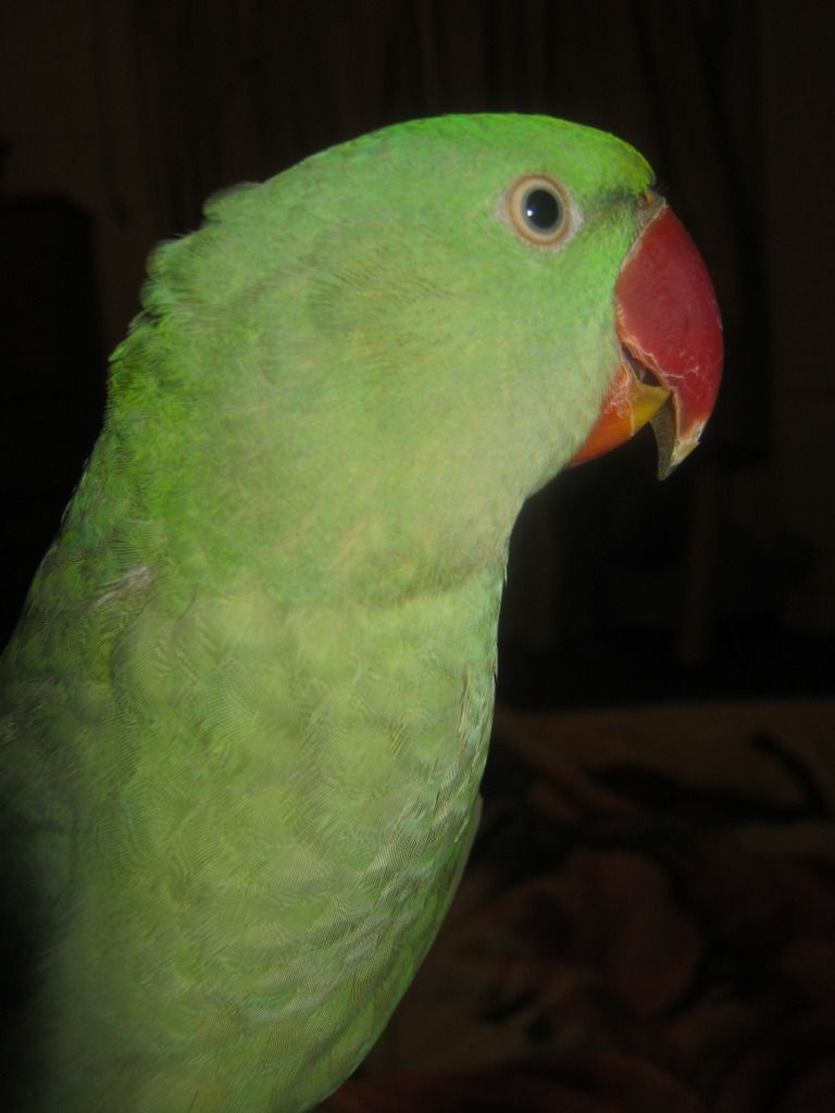 IMG_0022.jpg