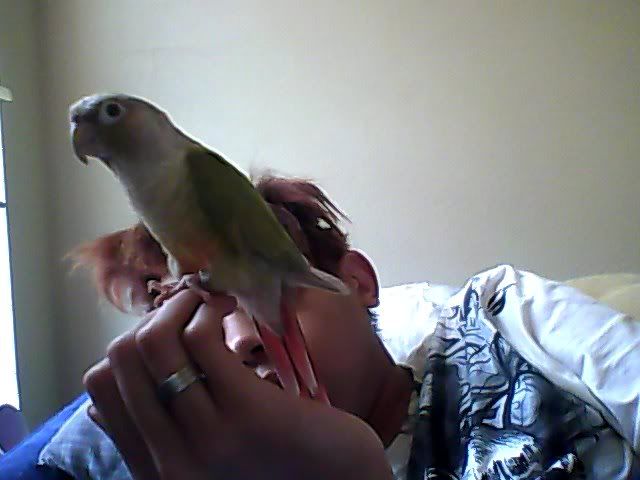 Snapshot_20120401_4.jpg