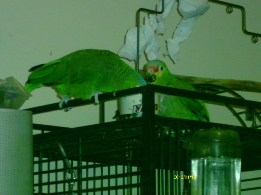 IMAG2083.jpg