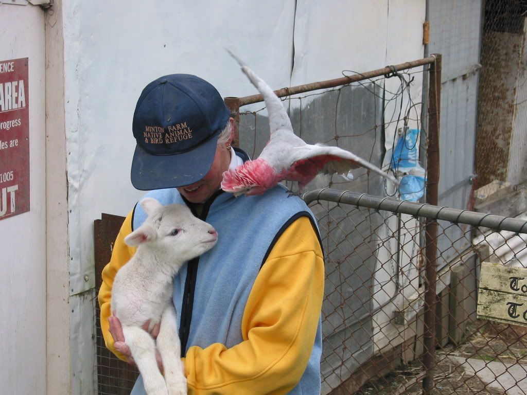 MintonFarm037.jpg