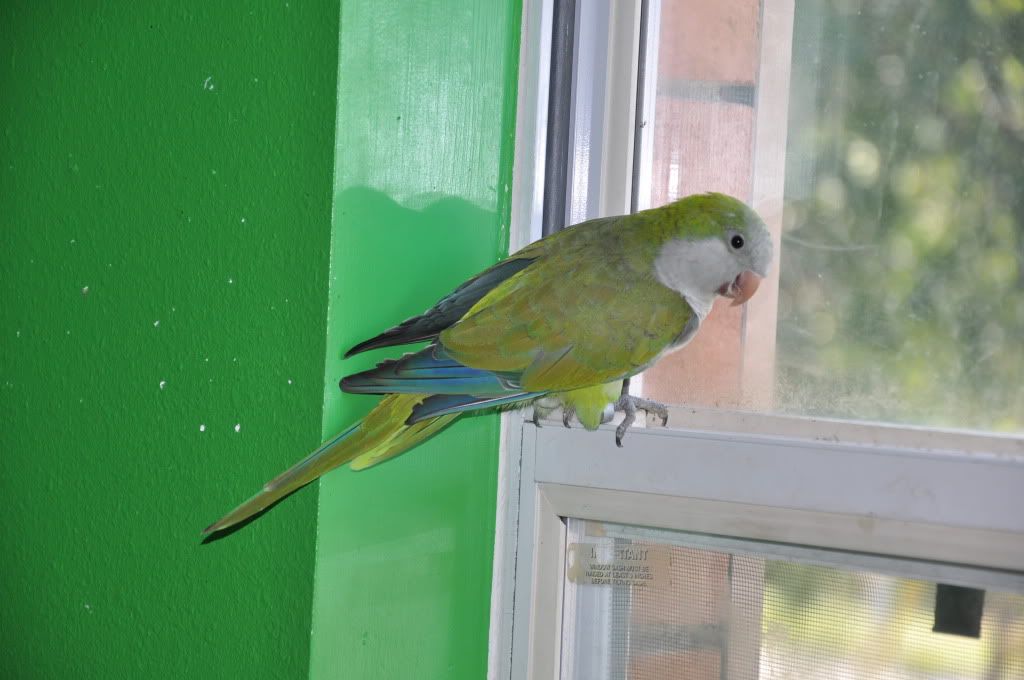 DSC_1905.jpg