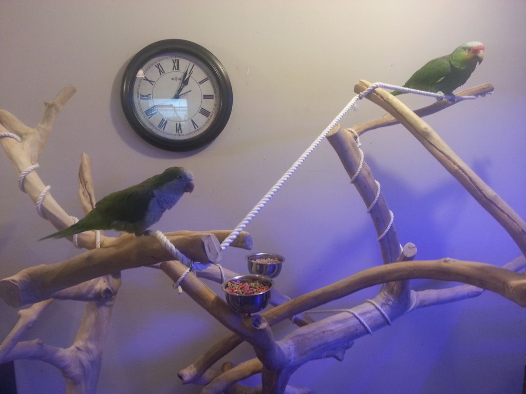 20130118_120420.jpg