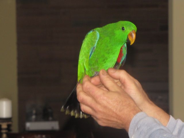 IMG_4719_zps38f107ec.jpg