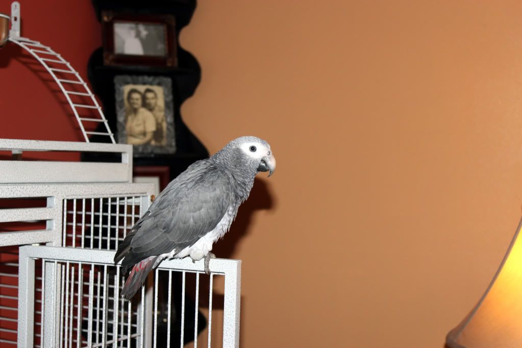 Cody010.jpg