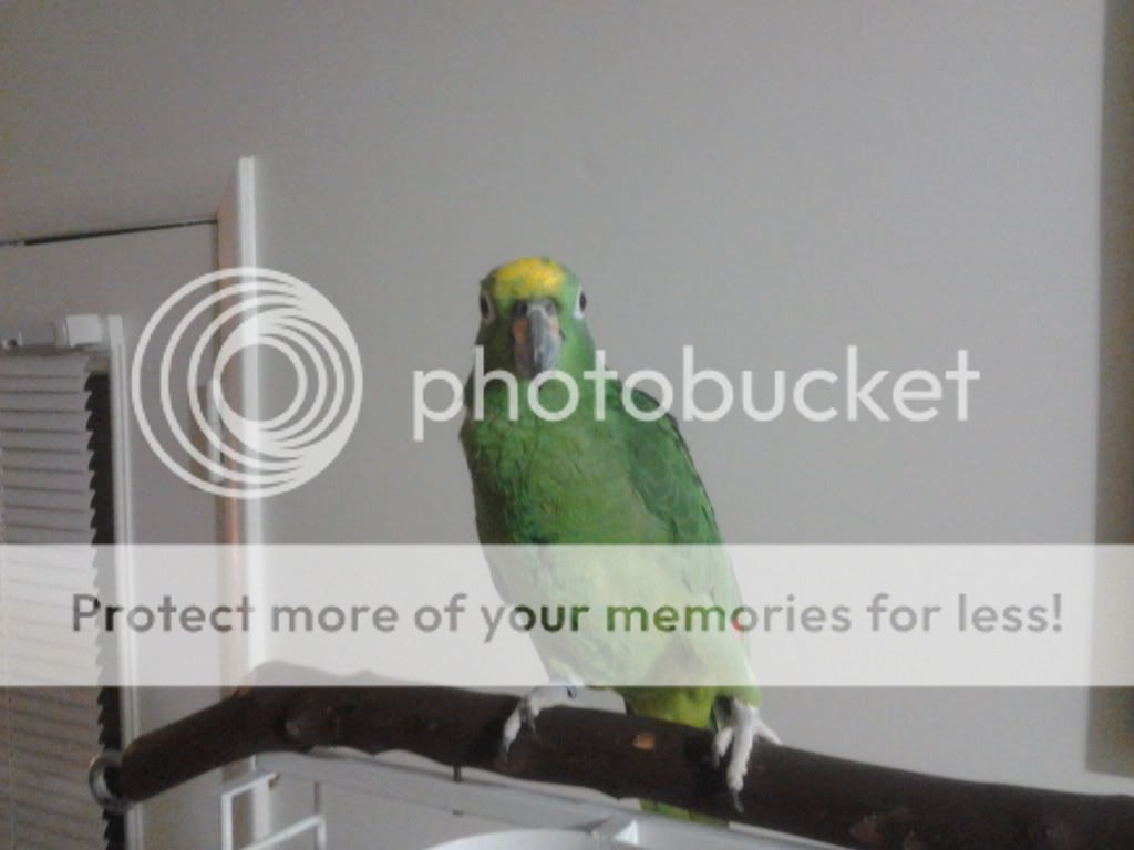 20130719_231551_zps544f1bcf.jpg
