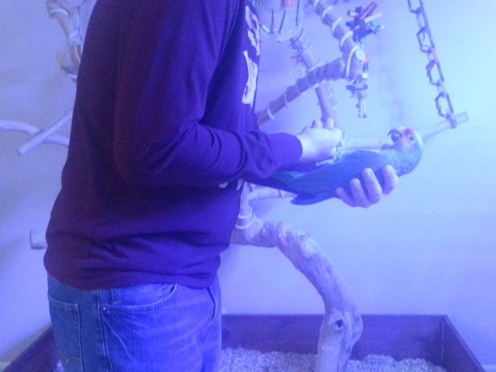 20130202_090940.jpg